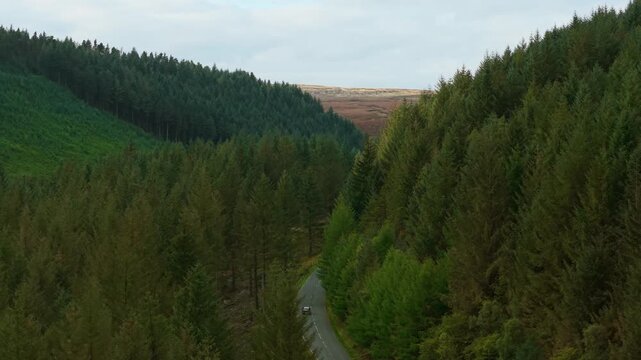 Car driving through winding forest valley road surrounded by tall green hills. Vehicle moving along peaceful route enjoying nature and simple travel lifestyle. Journey continuing through remote