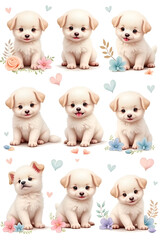 Tiny Tails, Endless Joy