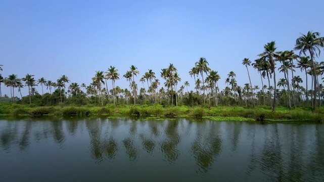 Serene Kerala backwaters landscape with lush coconut palms, calm waters and tranquil tropical landscape in Kerala, India
