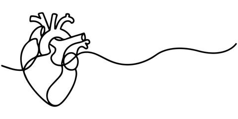 Obraz premium Single continuous line art anatomical human heart silhouette. Healthy medicine concept design one sketch outline drawing vector illustration.