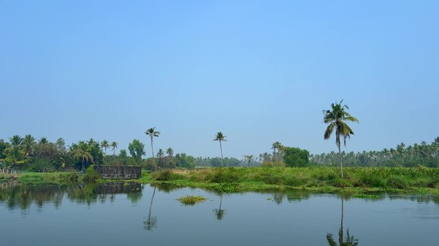 Serene Kerala backwaters landscape with lush coconut palms, calm waters and tranquil tropical landscape in Kerala, India