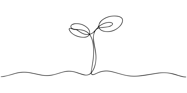 Growing sprout one line art .Vector silhouette of growing plant. Hand drawn leaf. Growing sprout plant continuous line .Plant with roots single line.
