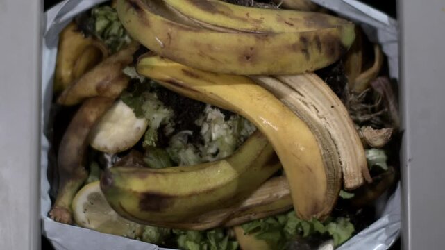 Super Slow Motion, Home Composting Scene Showing Fruit Peels And Vegetable Remnants Transforming Into Rich