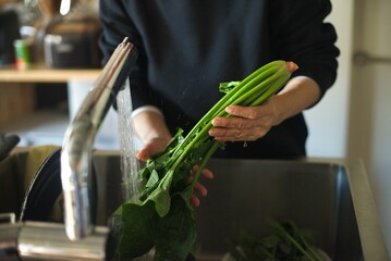 ほうれんそうを水で洗っているところ