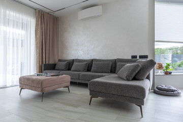 Modern Studio Apartment Interior with Grey Sofa and Pet Accessories