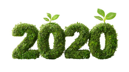 Green 2020 with Sprouting Leaves on White Background
