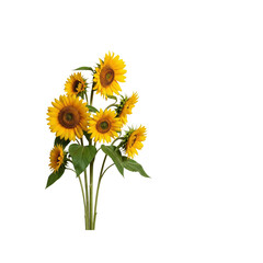 Obraz premium Bunch of bright yellow sunflowers isolated On Transparent Background