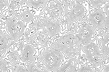 Abstract Topographic Contour Line Pattern in Black and White