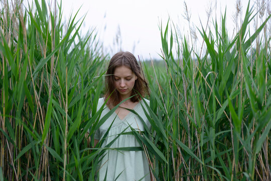 Person in dress standing among reeds in foggy summer forest morning