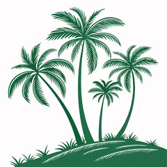 Tropical palm trees with white background  