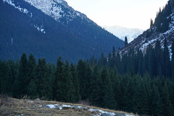 Kaskelen gorge. Ile-Alatau National Nature Park. Mountainous area with different vegetation.