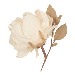 Cotton flower ripped paper blossom animal plant.