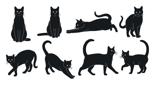 A collection of black cat illustrations in various poses, showcasing their sleek forms and elegant movements.