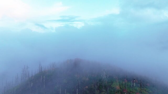 Aerial view of a mountain covered with a dense layer of fog, contrasting with the dark silhouettes of trees, Payson, Utah, United States.