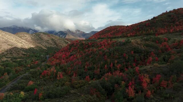 Aerial view of a mountain side covered with trees displaying autumn colors, set against a backdrop of snow-capped peaks, Payson, Utah, United States.