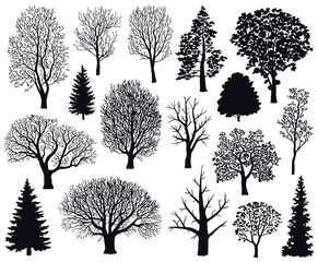 Obraz premium Beautiful Winter Tree Silhouettes, Highly Detailed Bare Trees with Elegant Branch Structures for Nature Illustrations, Seasonal Backgrounds, Posters, Prints, and Professional Graphic Design