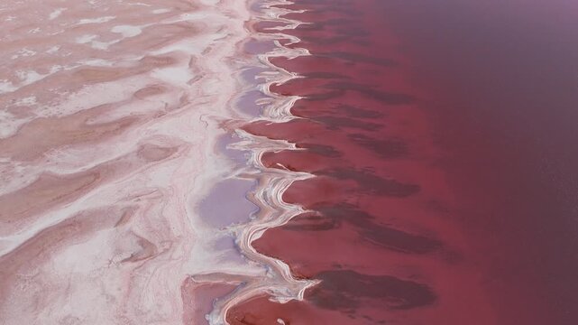 Aerial view of a pink salt lake meeting the pale shoreline, creating a mesmerizing contrast of hues and textures, Corinne, Utah, United States.