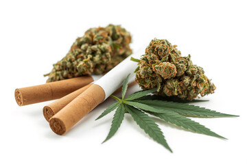 tobacco pipe isolated on white