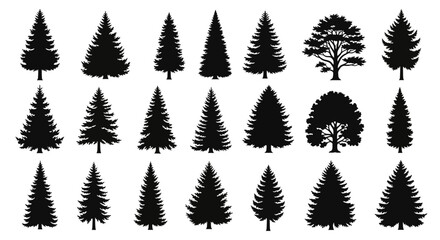 Collection of diverse tree silhouettes including various coniferous and deciduous species. © Jimy