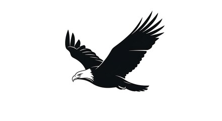 Obraz premium Black and white illustration of an eagle soaring in flight with wings outstretched