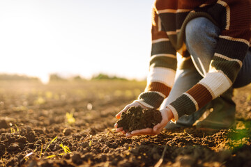 Obraz premium Close-up of young female farmer stands in field with fertile soil in hands. An experienced agronomist works and checks the soil quality before sowing. Concepts of farming, gardening, and ecology.