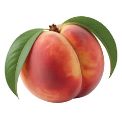 Two ripe peaches with green leaves on a white background.