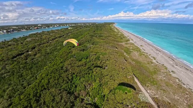 Aerial view of paragliding over lush trees contrasting with the turquoise ocean and sandy beach, Jupiter, Florida, United States.