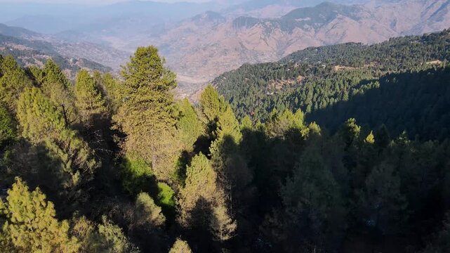 Aerial view of the lush green valley at Toli Peer, with dense forestation and mountains in the background, Rawalakot, Kashmir, Pakistan.