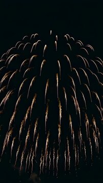 A Spectacular Display of Colorful Fireworks Lighting Up the Night Sky, Capturing the Beauty and Excitement of Combustive Artistry in Celebration