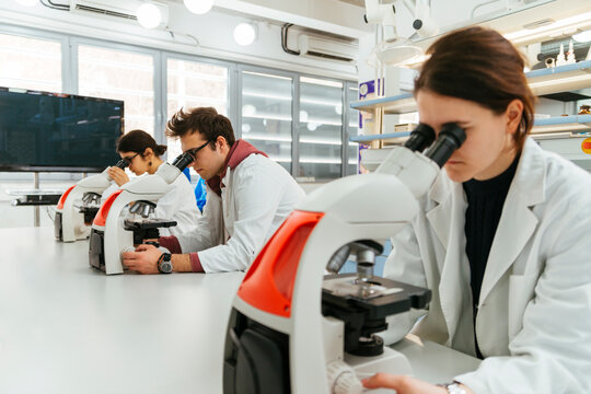 Laboratory technicians using microscopes in lab