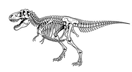 Fototapeta premium A detailed black and white illustration of the skeletal structure of a Tyrannosaurus Rex dinosaur, showcasing its powerful build and iconic features.