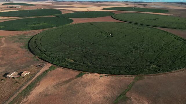 Aerial view of circular green crops contrasting with the arid landscape's brown and yellow hues, forming captivating patterns, Riviersonderend, Western Cape, South Africa.