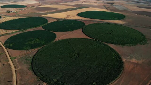 Aerial view of lush green circular fields contrasting with the arid landscape and brown soil, Riviersonderend, Western Cape, South Africa.