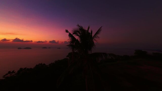 Static Drone Panorama Shot Slowly Rotating around Tall Palm Tree Silhouette on Coastal Cliff at Deep Orange Purple Sunset over Calm Sea Creating Dramatic Tropical Atmosphere, Sunset Serenity Concept
