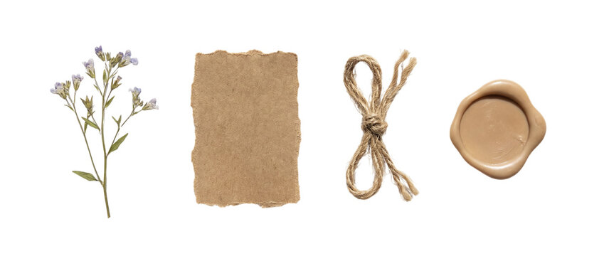Blue dried flowers with torn kraft paper, rustic twine and a wax seal, isolated on transparent background. Perfect for wedding invitations, envelopes, and scrapbook collage design.