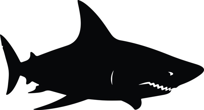 silhouette of a powerful great white shark predator for ocean vector design