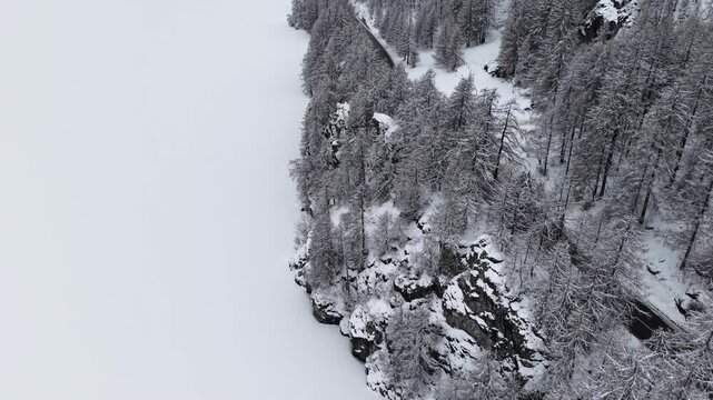 Aerial view of a winding road cutting through a snowy landscape, with snow-laden trees contrasting against the frozen lake, Sils im Engadin/Segl, Grigioni, Switzerland.