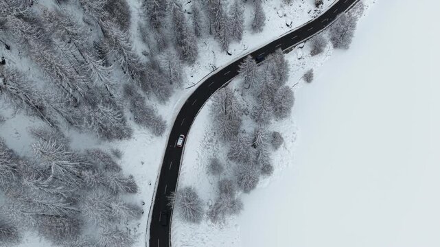 Aerial view of a winding road cutting through a snow-covered forest with cars, a stark contrast between the dark asphalt and the white snow, Sils im Engadin/Segl, Grigioni, Switzerland.