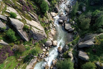 Aerial View of a Rugged Mountain Stream Flowing Through Rocky Terrain Surrounded by Lush Greenery and Vibrant Purple Flowers in Bright Sunlight