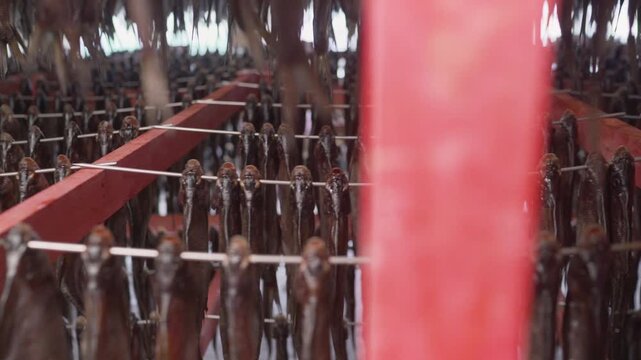 Smoking and drying fish at a seafood processing plant