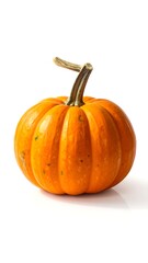 Obraz premium Vivid orange miniature gourd, solitary on a stark white backdrop, displaying textured skin and a curled stem