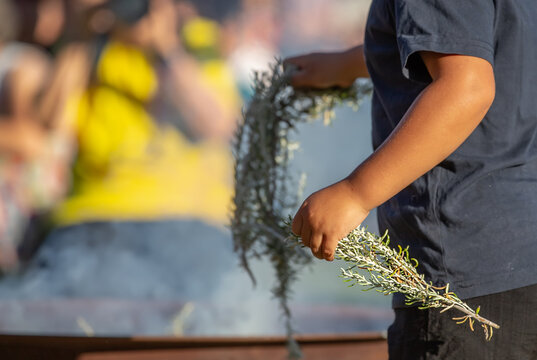 Kid hands with green branches, smoking ritual dish, Australian aboriginal smoking ceremony, ritual rite at an indigenous community event