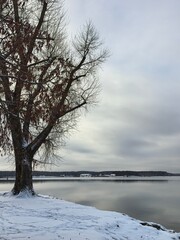 lake in winter, snow-covered lake, beautiful landscape in cold weather, cold, aesthetics of the seasons, plants in ice, frozen plants, ice on the ground, frosty weather, beautiful winter photo, ice on