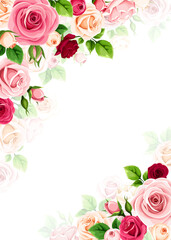 Background frame with red, pink, and white rose flowers and green leaves. Vector greeting or invitation floral card design