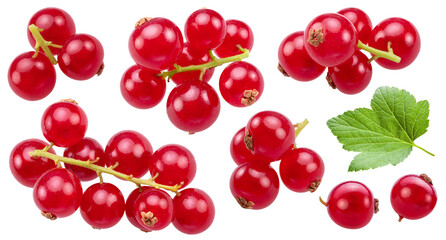 Several branches of red currant berries with a green currant leaf isolated on a white background.