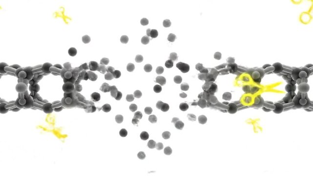 Scientific Time Lapse of Enzymes Degrading and Recycling Plastic Chain