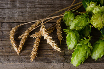 Hops green cones and ripe barley ears on a wooden table close-up, top view
