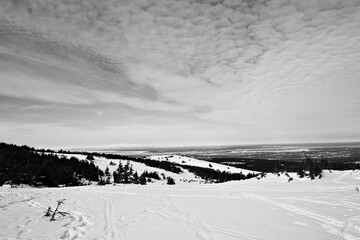 Expansive winter view across the Chugach Mountains in Alaska, with rolling snow-covered ridges, scattered evergreens, and a vast sky.