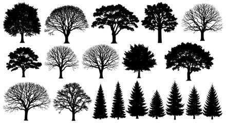 Obraz premium A collection of diverse tree silhouettes, showcasing a variety of deciduous and coniferous species in black and white.