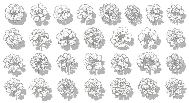 Collection of detailed top-down illustrations of various deciduous trees with distinct foliage and shadow patterns.